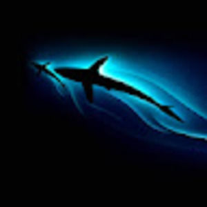 Meet your Posher, Jacky